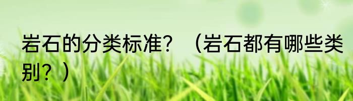 岩石的分类标准？（岩石都有哪些类别？）