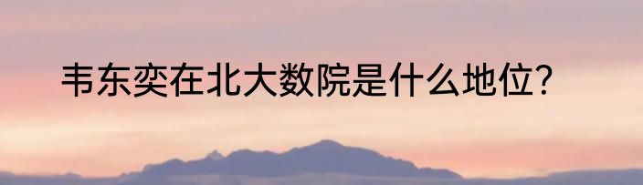 韦东奕在北大数院是什么地位？