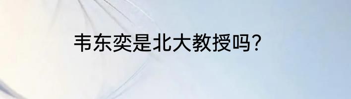 韦东奕是北大教授吗？