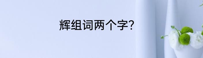 辉组词两个字？