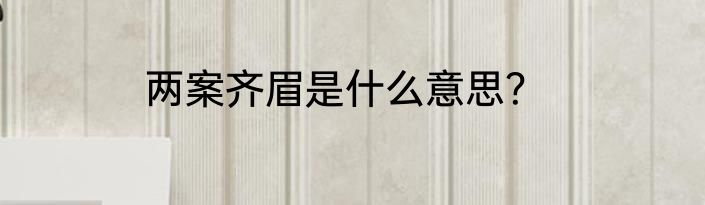 两案齐眉是什么意思？