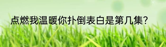 点燃我温暖你扑倒表白是第几集？