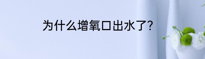 为什么增氧口出水了？