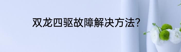双龙四驱故障解决方法？