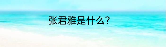 张君雅是什么？