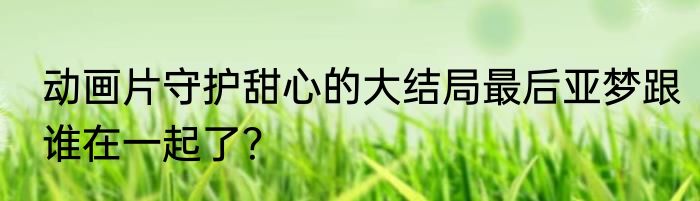 动画片守护甜心的大结局最后亚梦跟谁在一起了？