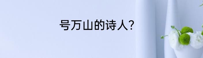 号万山的诗人？