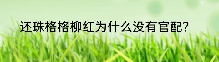 还珠格格柳红为什么没有官配？