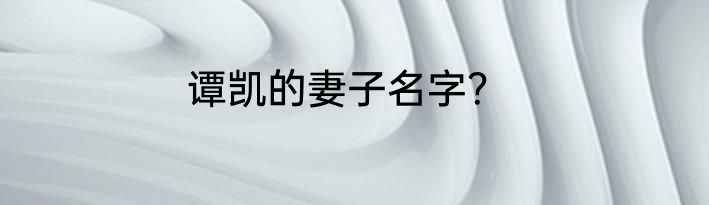 谭凯的妻子名字？