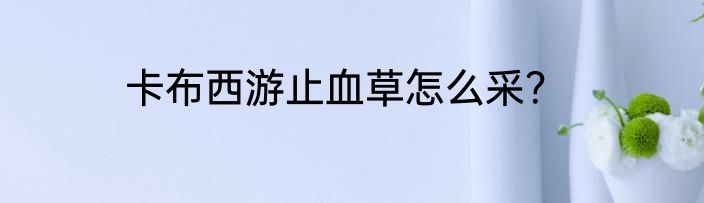 卡布西游止血草怎么采？
