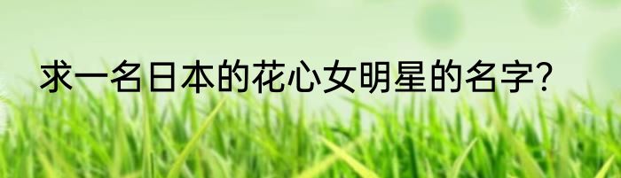 求一名日本的花心女明星的名字？