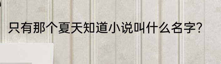 只有那个夏天知道小说叫什么名字？