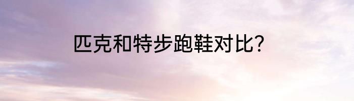 匹克和特步跑鞋对比？