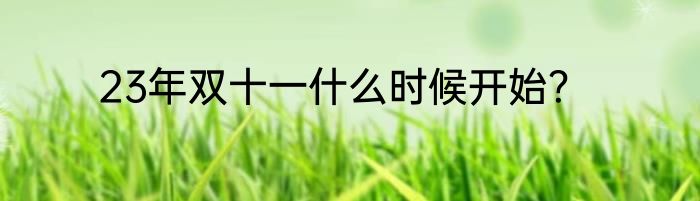 23年双十一什么时候开始？