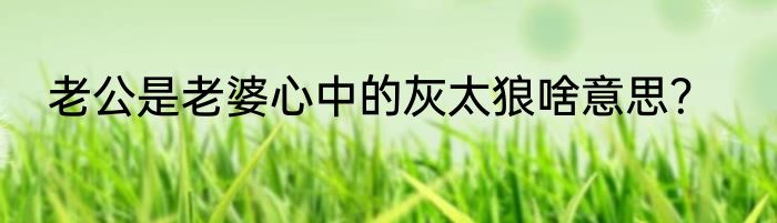 老公是老婆心中的灰太狼啥意思？