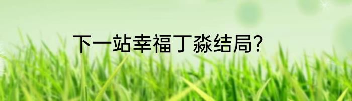 下一站幸福丁淼结局？