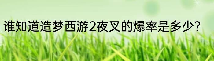 谁知道造梦西游2夜叉的爆率是多少？