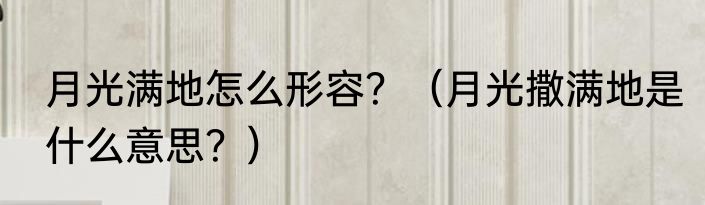 月光满地怎么形容？（月光撒满地是什么意思？）