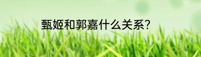 甄姬和郭嘉什么关系？