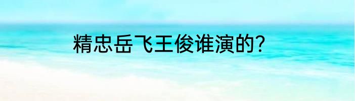 精忠岳飞王俊谁演的？