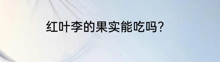 红叶李的果实能吃吗？