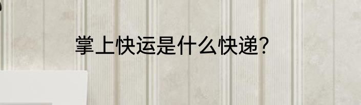 掌上快运是什么快递？