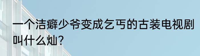 一个洁癖少爷变成乞丐的古装电视剧叫什么灿？
