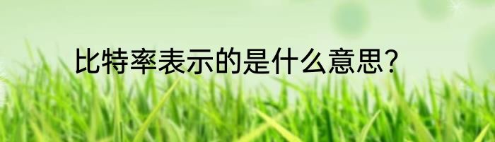 比特率表示的是什么意思？