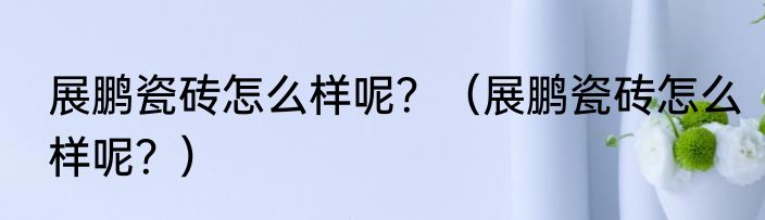 展鹏瓷砖怎么样呢？（展鹏瓷砖怎么样呢？）