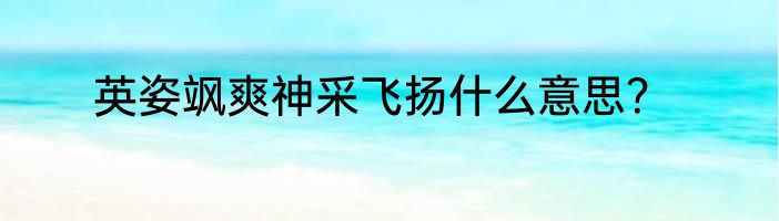 英姿飒爽神采飞扬什么意思？