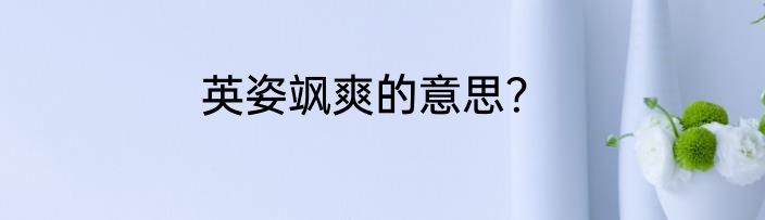 英姿飒爽的意思？