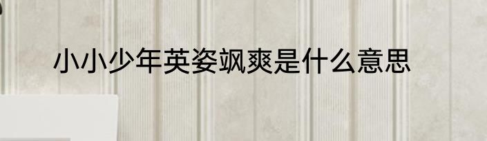 小小少年英姿飒爽是什么意思