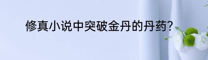 修真小说中突破金丹的丹药？