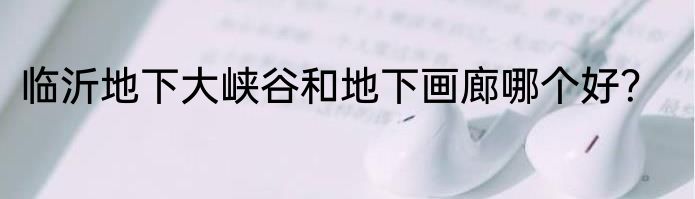 临沂地下大峡谷和地下画廊哪个好？