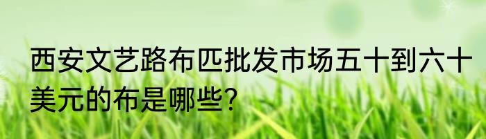 西安文艺路布匹批发市场五十到六十美元的布是哪些？