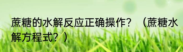 蔗糖的水解反应正确操作？（蔗糖水解方程式？）