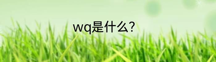 wq是什么？
