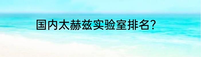 国内太赫兹实验室排名？
