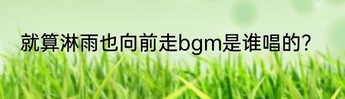 就算淋雨也向前走bgm是谁唱的？