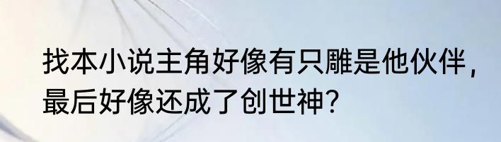 找本小说主角好像有只雕是他伙伴，最后好像还成了创世神？