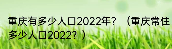 重庆有多少人口2022年？（重庆常住多少人口2022？）