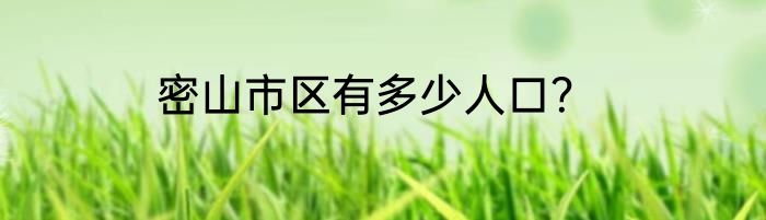密山市区有多少人口？