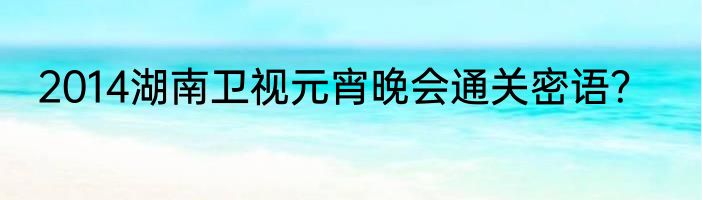 2014湖南卫视元宵晚会通关密语？