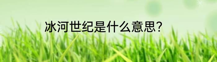 冰河世纪是什么意思？