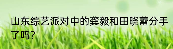 山东综艺派对中的龚毅和田晓蕾分手了吗？