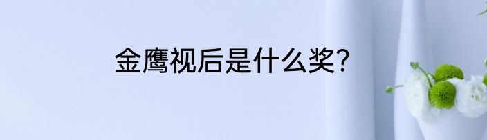 金鹰视后是什么奖？