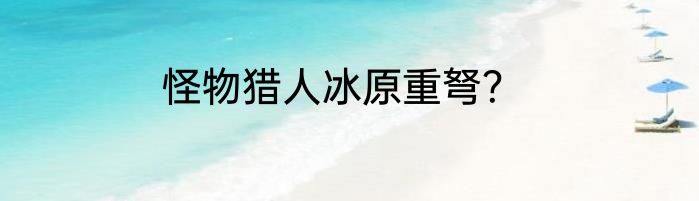 怪物猎人冰原重弩？