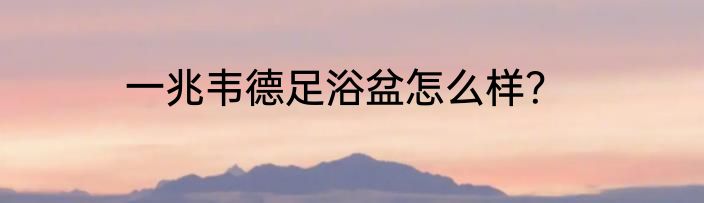 一兆韦德足浴盆怎么样？