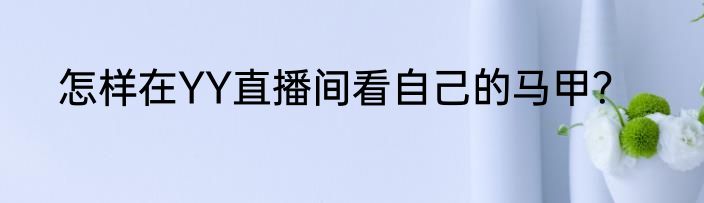 怎样在YY直播间看自己的马甲？