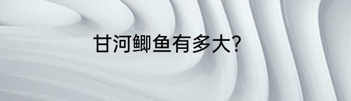 甘河鲫鱼有多大？